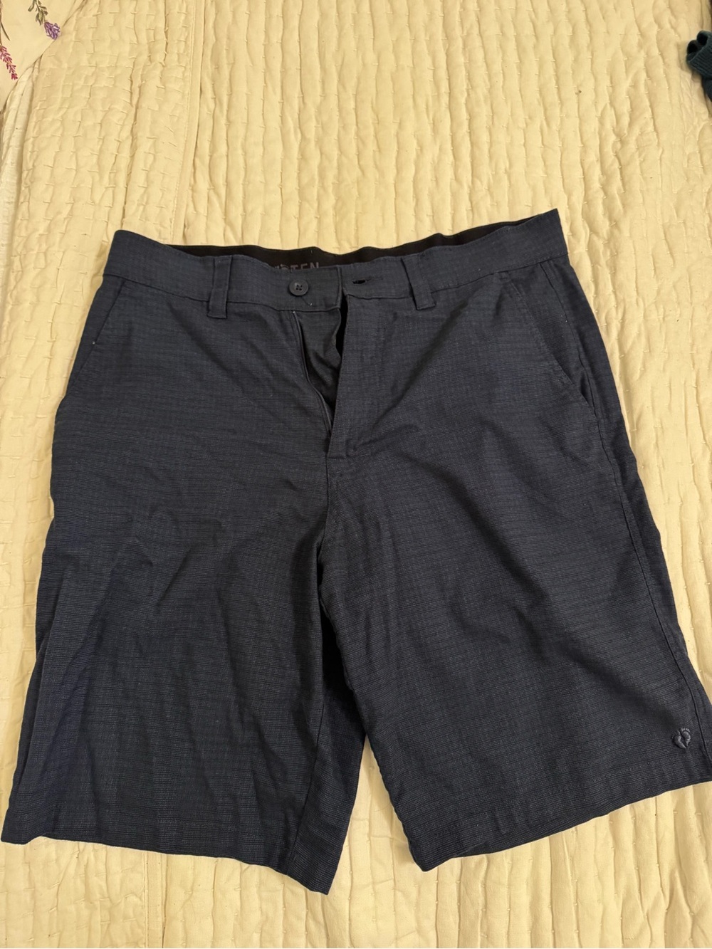 Hang Ten Navy Men's Shorts